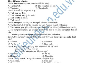 Đề thi giữa HK1 môn văn lớp 6 THCS Giao Hải 2023