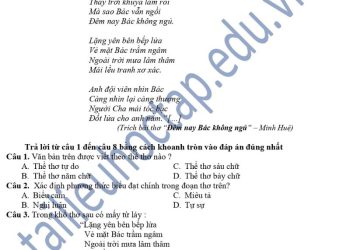 Đề thi giữa HK1 môn văn lớp 7 THCS Giao Hải 2023 