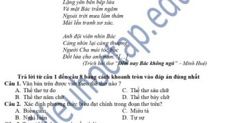 Đề thi giữa HK1 môn văn lớp 7 THCS Giao Hải 2023