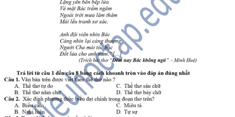 Đề thi giữa HK1 môn văn lớp 7 THCS Giao Hải 2023