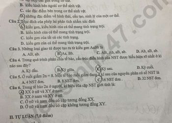 de-thi-giua-ki-1-lop-9-mon-sinh-2023-bac-ninh-result