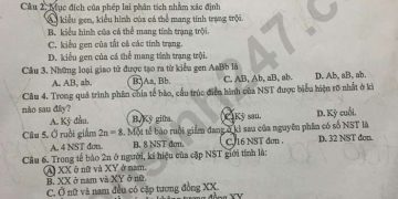 de-thi-giua-ki-1-lop-9-mon-sinh-2023-bac-ninh-result