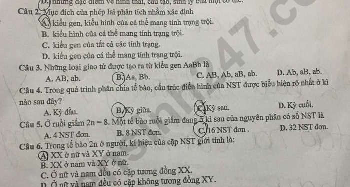 de-thi-giua-ki-1-lop-9-mon-sinh-2023-bac-ninh-result