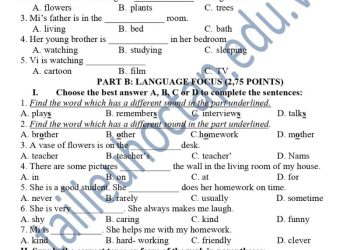 de-thi-giua-ki-1-tieng-anh-6-1