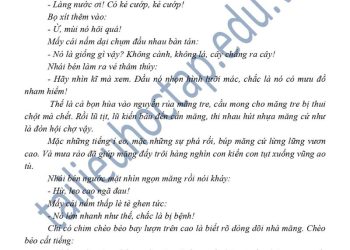 Đề thi giữa kì 1 văn 6 mới nhất 2023 1