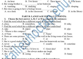 đề thi tiếng anh giữa Hk1 lớp 6 THCS Hồng Thuận 2023 2