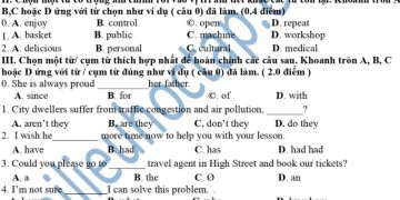 Đề thi tiếng anh lớp 9 giữa HK1 THCS Giao Lạc 2023 1