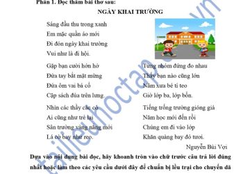 de-thi-tieng-viet-lop-3-giua-ki-1-sach-canh-dieu-2023