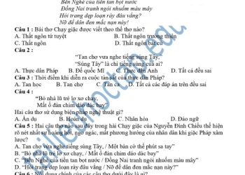 Đề thi văn giữa HK1 lớp 8 THCS Giao Phong 2023 1