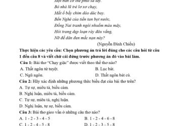 Đề thi văn giữa HK1 lớp 8 THCS Giao Thủy 2023 1