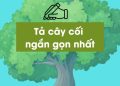 bai-van-ta-cay-coi-lop-4-5-ngan-gon