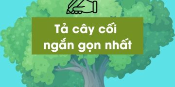 bai-van-ta-cay-coi-lop-4-5-ngan-gon