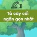 bai-van-ta-cay-coi-lop-4-5-ngan-gon