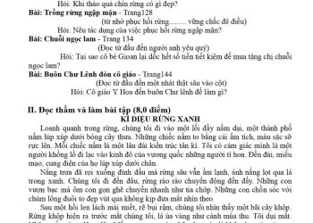 Đề thi tiếng việt lớp 5 học kì 1 có đáp án