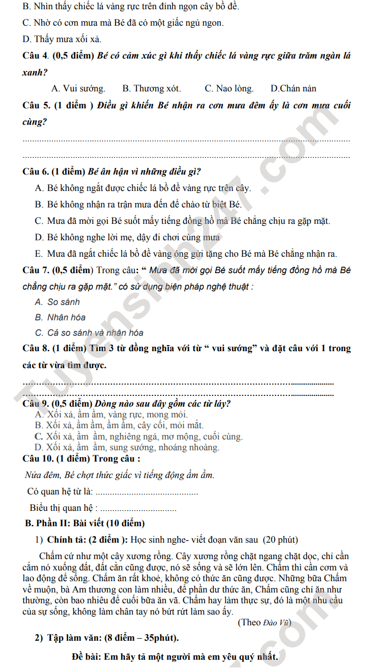 Đề thi tiếng việt lớp 5 học kì 1 trường Tiểu Học An Ninh 2023 có đáp án 2