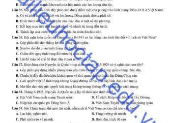 de-thi-lich-su-lop-12-hoc-ki-1-tinh-nam-dinh-2023-co-dap-an