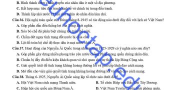 de-thi-lich-su-lop-12-hoc-ki-1-tinh-nam-dinh-2023-co-dap-an