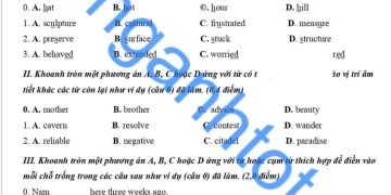 Đề thi tiếng Anh lớp 9 cuối HK1 Xuân Trường 2023 có đáp án