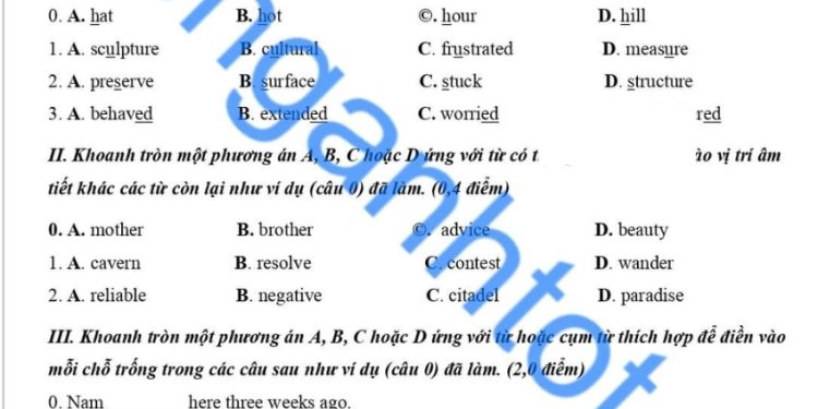 Đề thi tiếng Anh lớp 9 cuối HK1 Xuân Trường 2023 có đáp án