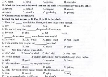 Đề thi tiếng Anh cuối HK1 lớp 7 THCS Nguyễn Bỉnh Khiêm 2021 2022