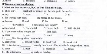 Đề thi tiếng Anh cuối HK1 lớp 7 THCS Nguyễn Bỉnh Khiêm 2021 2022