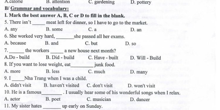 Đề thi tiếng Anh cuối HK1 lớp 7 THCS Nguyễn Bỉnh Khiêm 2021 2022