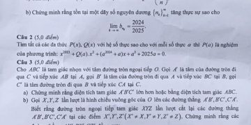 Đề thi học sinh giỏi quốc gia 2024 môn Toán ngày 1-min