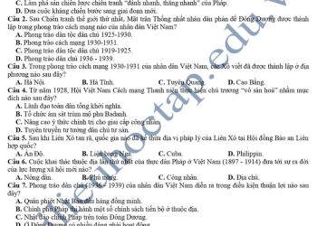 de-thi-khao-sat-chat-luong-lop-12-mon-lich-su-tinh-bac-ninh-2024