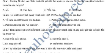 de-thi-lich-su-lop-12-hoc-ki-1-thpt-phan-dinh-phung-2023-tinh-lam-dong