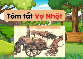 tom-tat-tac-pham-vo-nhat-ngan-nhat