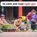 viet-bai-van-ta-canh-sinh-hoat-lop-6-ngan-gon