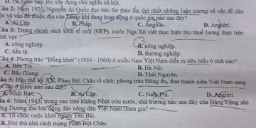 de-thi-khao-sat-chat-luong-mon-lich-su-lop-12-tinh-thanh-hoa-2024-min