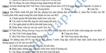 de-thi-thu-tot-nghiep-mon-su-lien-truong-nghe-an-2024