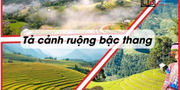 ta-canh-ruong-bac-thang-ngan-gon