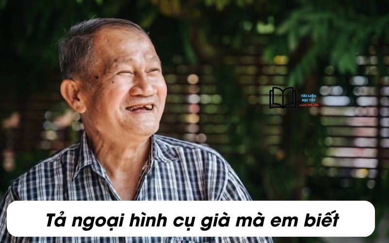 Viết một đoạn văn khoảng 5 câu tả ngoại hình của một cụ già mà em yêu quý lớp 5