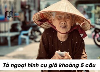 Viết một đoạn văn khoảng 5 câu tả ngoại hình của một cụ già mà em biết