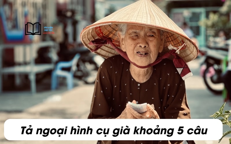 Viết một đoạn văn khoảng 5 câu tả ngoại hình của một cụ già mà em biết