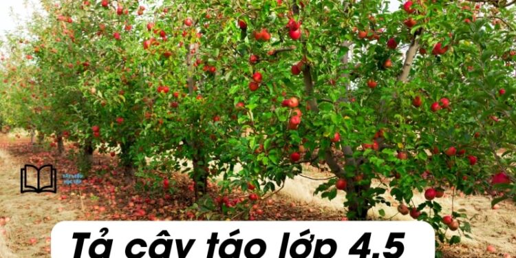Văn tả cây táo lớp 4 và 5 ngắn gọn, hay nhất