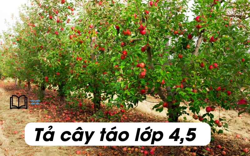 Tả Cây Táo Lớp 5 - Bài Văn Mẫu, Dàn Ý Chi Tiết Và Hướng Dẫn Viết