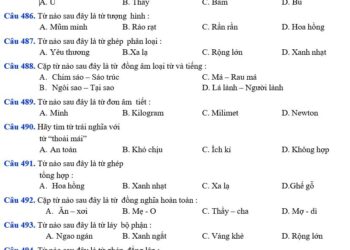 Cấu trúc đề thi đánh giá năng lực môn ngữ văn 