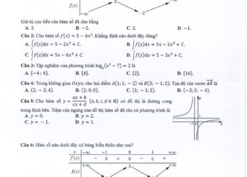 Đề minh hoạ môn toán THPT quốc gia 2024