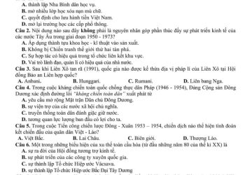 de-thi-thu-lich-su-thptqg-chuyen-phan-boi-chau-2024-min