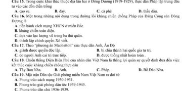 de-thi-thu-tot-nghiep-mon-lich-su-thptqg-2024-tinh-bac-giang-2-min