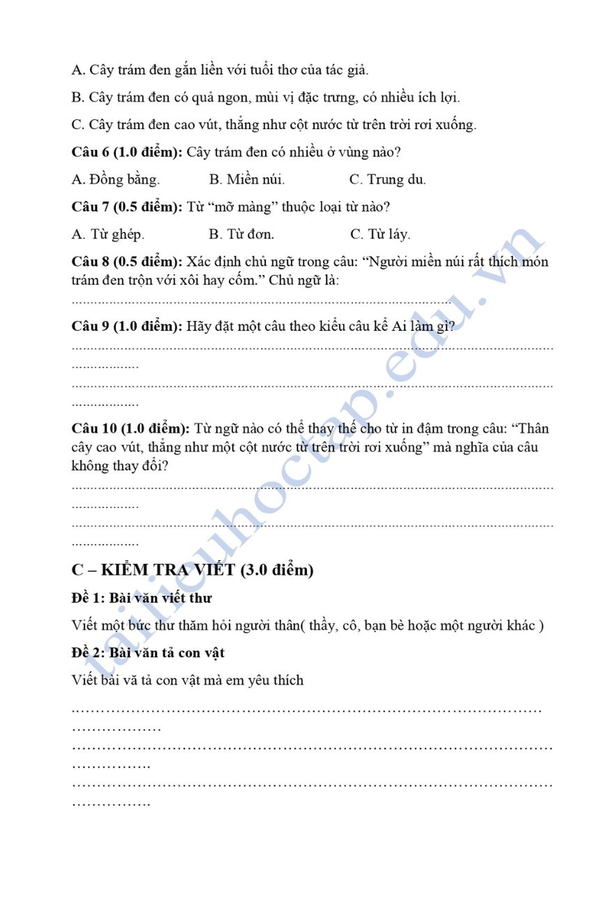 Đề ôn thi môn tiếng Việt lớp 4 giữa kì 2 2