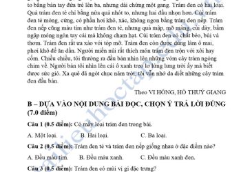 de-thi-tieng-viet-lop-4-giua-hoc-ki-2