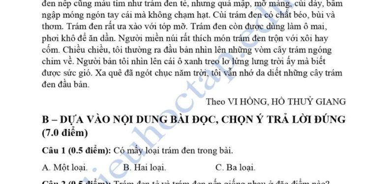 de-thi-tieng-viet-lop-4-giua-hoc-ki-2