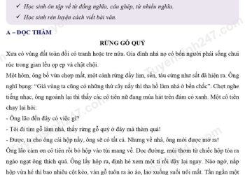 de-thi-tieng-viet-lop-5-giua-hoc-ki-2-ts247