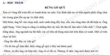 de-thi-tieng-viet-lop-5-giua-hoc-ki-2-ts247