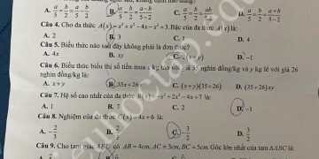 Đề thi toán giữa HK2 lớp 7 THCS Xuân Đỉnh 2024