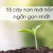 tả một cây non mới trồng ngắn gọn nhất lớp 4 và 5